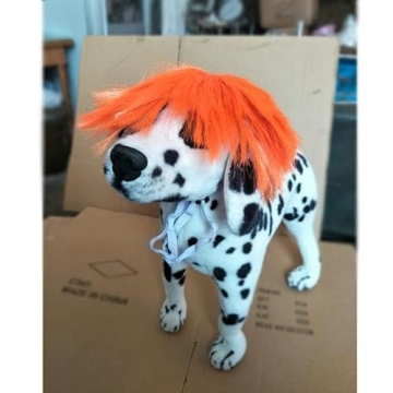 Funny Pet Orange Wig for Halloween and Christmas