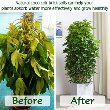 ZeeDix Premium Coco Coir Brick for Organic Gardening