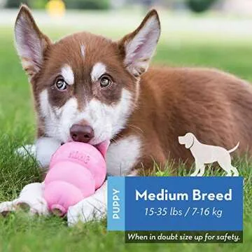 KONG Puppy Toy for Teething Dogs with Treat Stuffing