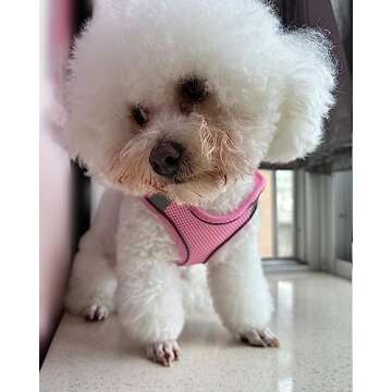 Solmoony Dog Harness for Small Medium Large Dogs No Pull, Puppy Harness and Leash Set, Puppy Harness...