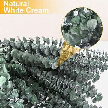 12 PCS Dried Eucalyptus Bundle for Refreshing Showers