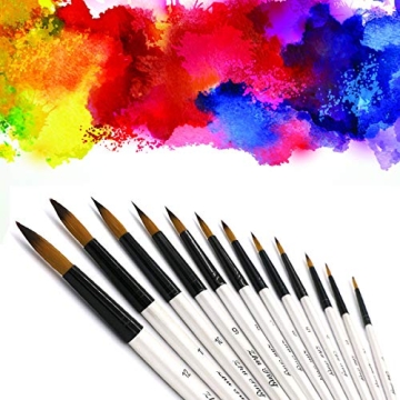 Quality Pointed Round Paint Brush Set for Artists