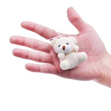 JOYIN 24 Pack Mini Animal Plush Toy Assortment for Kids