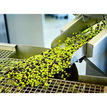 Kouzini Athena Bundle - Greek Extra Virgin Olive Oil | First Cold Pressed | Single Origin | Family Owned