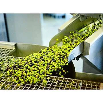 Kouzini Athena Bundle - Premium Greek Olive Oil