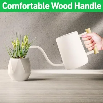 Charming Indoor Watering Can with Long Spout - 35oz