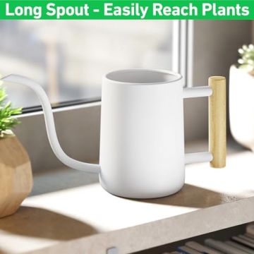 Charming Indoor Watering Can with Long Spout - 35oz