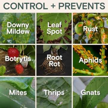 Organic Insecticide & Fungicide for Plants – Natural Plant Fungicide for Powdery Mildew & Insect Control – Indoor & Outdoor Use – Safe for Houseplants, Vegetables, Fruits & Gardens – Gnat Killer