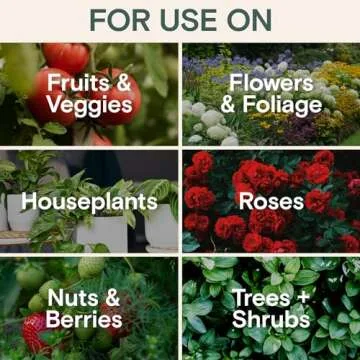 Organic Insecticide & Fungicide for Plants – Natural Plant Fungicide for Powdery Mildew & Insect Control – Indoor & Outdoor Use – Safe for Houseplants, Vegetables, Fruits & Gardens – Gnat Killer