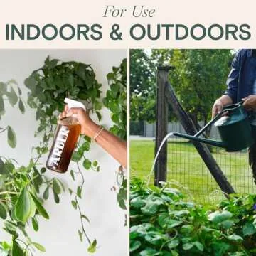 Organic Insecticide & Fungicide for Plants – Natural Plant Fungicide for Powdery Mildew & Insect Control – Indoor & Outdoor Use – Safe for Houseplants, Vegetables, Fruits & Gardens – Gnat Killer