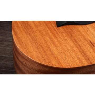 Taylor BT2 Baby Taylor Acoustic Guitar for All Ages