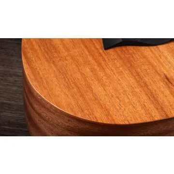 Taylor BT2 Baby Taylor Acoustic Guitar for All Ages