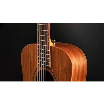 Taylor BT2 Baby Taylor Acoustic Guitar for All Ages