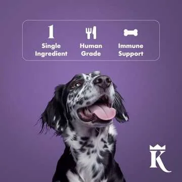 King Lou Beef Heart Jerky for Dogs - Healthy Treats