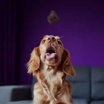 King Lou Beef Heart Jerky for Dogs - Healthy Treats