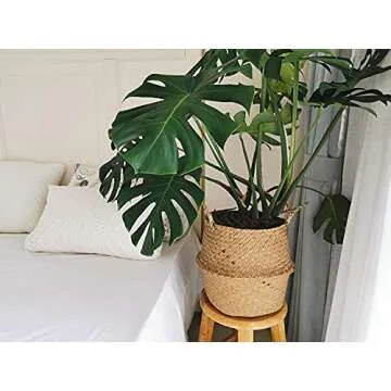 Large Woven Seagrass Belly Basket for Plant & Storage