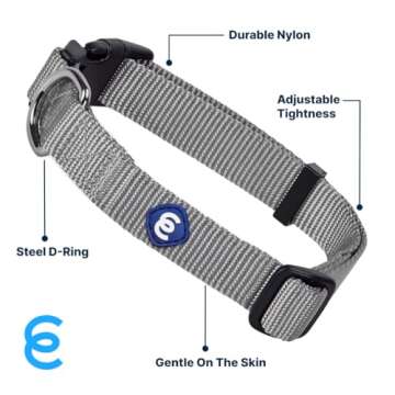 Blueberry Pet Flint Gray Dog Collar for Small Boys