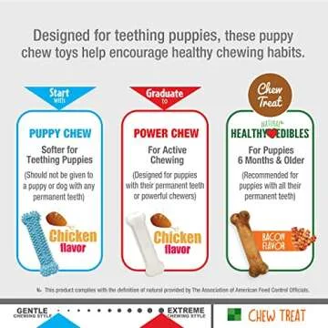 Nylabone Puppy Chew Toys & Natural Treat Triple Pack, Blue, Chicken & Bacon Flavor, Small - Up to 25 Ibs, 3 Pack