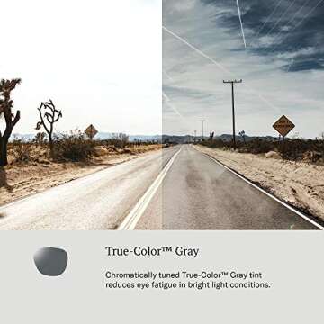 AO General Sunglasses - Gold - True Color Gray SkyMaster Glass Lenses - 58-14-145