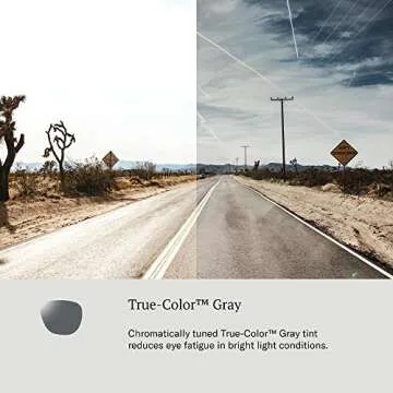 AO General Sunglasses - Gold - True Color Gray SkyMaster Glass Lenses - 58-14-145