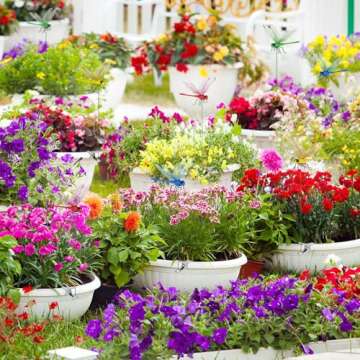 3D Dragonfly Garden Clips - Bug Repellent Decor for Outdoors