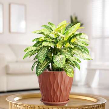 OCTSEVENTH 6 inch Plant Pots, 5 Pack Flower Pots Outdoor Indoor, Planters with Drainage Hole and Tray Saucer.