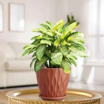 OCTSEVENTH 6 inch Plant Pots, 5 Pack Flower Pots Outdoor Indoor, Planters with Drainage Hole and Tray Saucer.