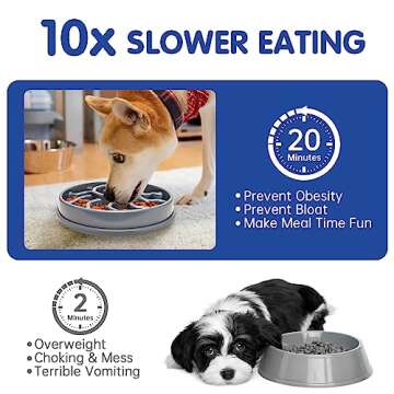 Nussoi Slow Feeder Dog Bowl, 4-Cup Dog Slow Feeder for Large and Medium Dogs, Anti-Choking Slow Eating Bowl, Non-Slip Pet Slower Dish for Dry Wet Food(Gray)