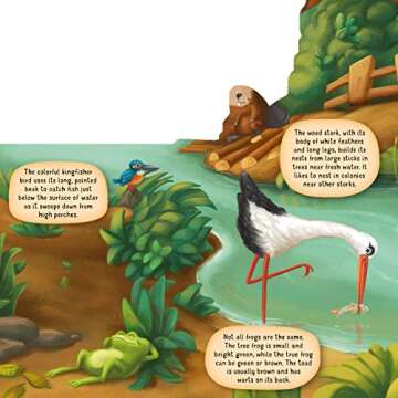 Explore Nature with Discovering the World of Nature Along the Riverbank Board Book