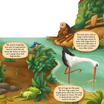 Explore Nature with Discovering the World of Nature Along the Riverbank Board Book