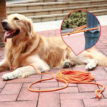 Hi Kiss Check Cord Large,Medium Small Dogs/Puppy Obedience Recall Training Agility Lead - 15ft 30ft 50ft Training Leash - Great for Training, Play, Camping, or Backyard Orange 15 Feet