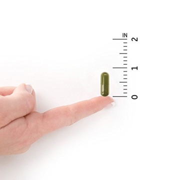 Garden of Life Raw Vitamin D3, 5000 IU for Immune Health