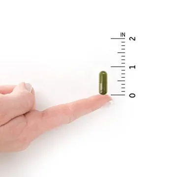 Garden of Life Raw Vitamin D3, 5000 IU for Immune Health