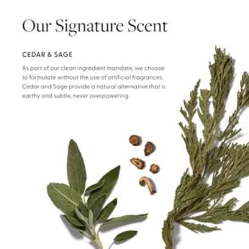 Arey Smooth Conditioner | Reduce the Signs of Aging Hair | Retains Moisture, Promotes Smoothness | For Use with Wash Shampoo | Vegan, Gluten-Free, Residue-Free & Cruelty-Free (8.45 Fl Oz, 30 Uses)