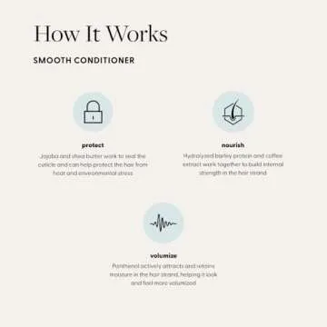 Arey Smooth Conditioner | Reduce the Signs of Aging Hair | Retains Moisture, Promotes Smoothness | For Use with Wash Shampoo | Vegan, Gluten-Free, Residue-Free & Cruelty-Free (8.45 Fl Oz, 30 Uses)