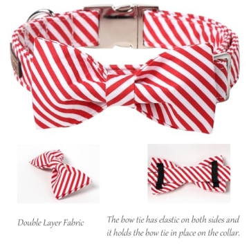 Lionet Paws Adjustable Christmas Dog Collar with Bowtie
