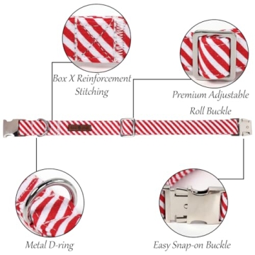 Lionet Paws Adjustable Christmas Dog Collar with Bowtie