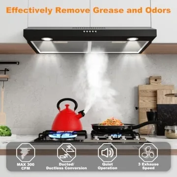 Alemania 30 Inch Under Cabinet Range Hood with Filter