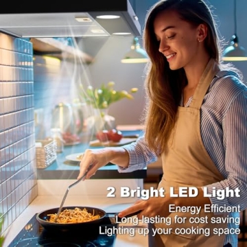 Alemania 30 Inch Under Cabinet Range Hood with Filter