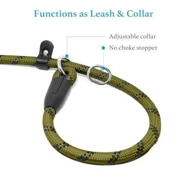 Durable Slip Lead Dog Leash with Padded Handle and Reflective Threads