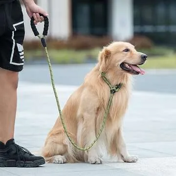 Durable Slip Lead Dog Leash with Padded Handle and Reflective Threads