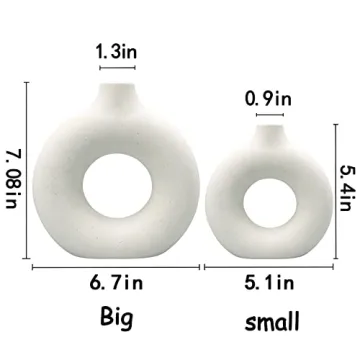 Modern Ceramic Vases Set of 2 for Stylish Home Decor