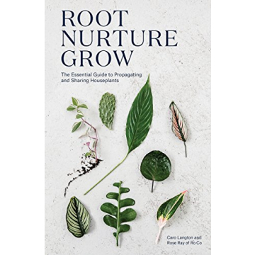 Root Nurture Grow: Your Guide to Successful Houseplant Propagation