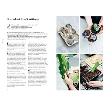 Root Nurture Grow Essential Guide for Plant Lovers