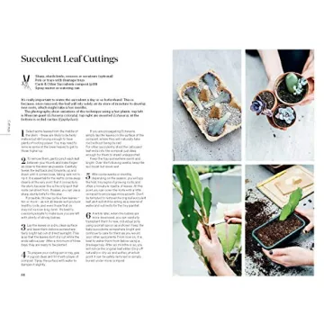 Root Nurture Grow Essential Guide for Plant Lovers