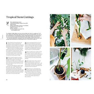 Root Nurture Grow Essential Guide for Plant Lovers