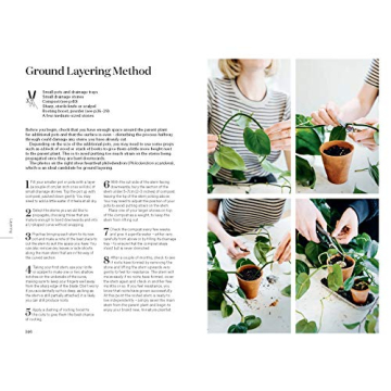 Root Nurture Grow Essential Guide for Plant Lovers