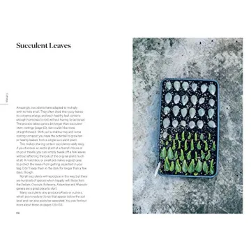 Root Nurture Grow Essential Guide for Plant Lovers