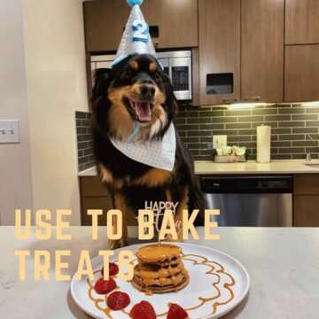 BUDDY BUDDER Bark Bistro Company, Awesome Apple, 100% Natural Dog Peanut Butter, Healthy Peanut Butter Dog Treats, Stuff in Toy, Pill Pocket for Dogs, Made in USA, (17oz Jars)