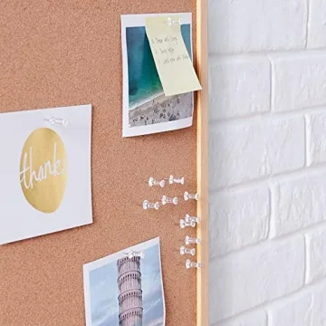 Affordable Amazon Basics Push Pins Tacks, 100-Pack